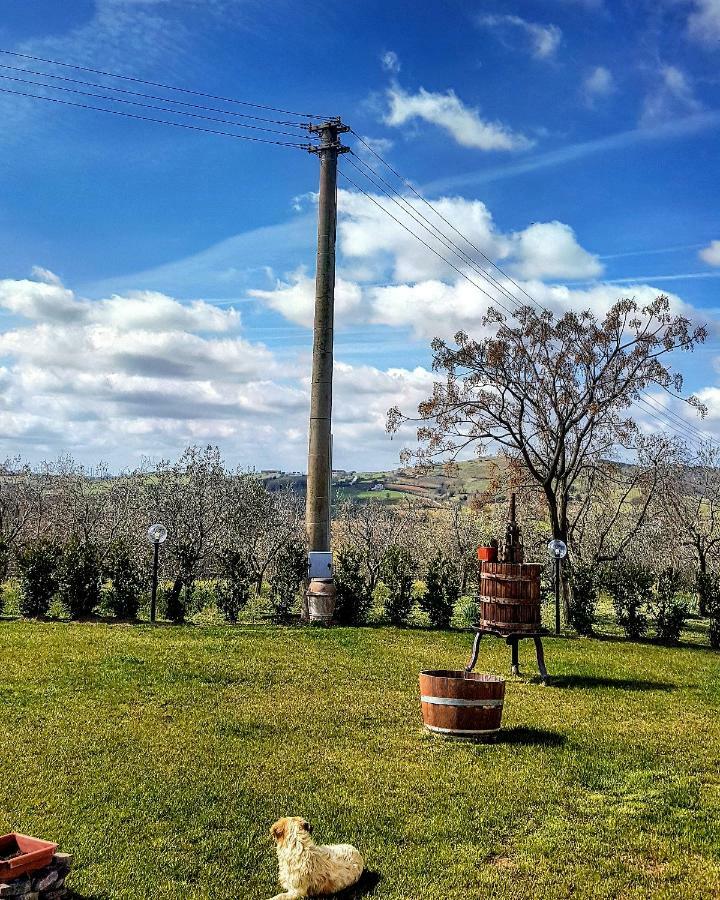 Country house Casa Di Campagna *